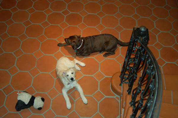 Saltillo tile installed by Marco The Tile Man
